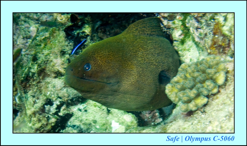 2008 - 07 - Redang - 032